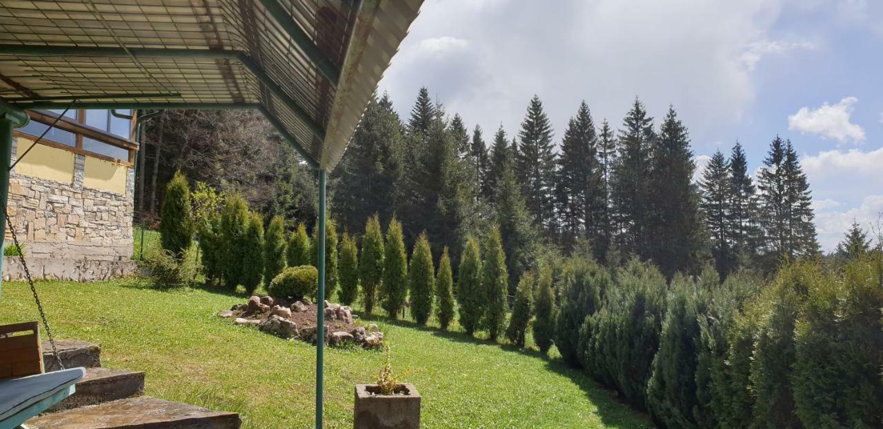 Green Forest Власич Экстерьер фото